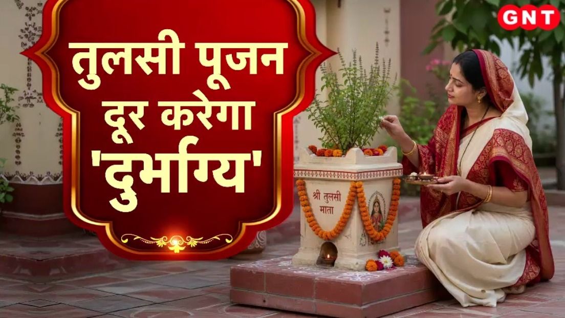 Tulsi Plant Benefits