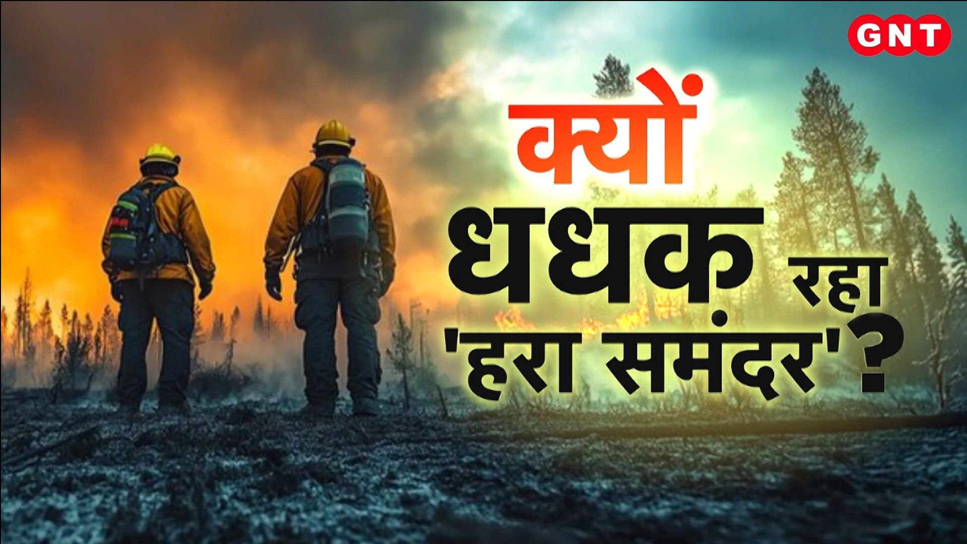 Uttarakhand and Himachal Pradesh Forest Fires 3600 Hectares Burnt Causes and Rescue Operations frvd
