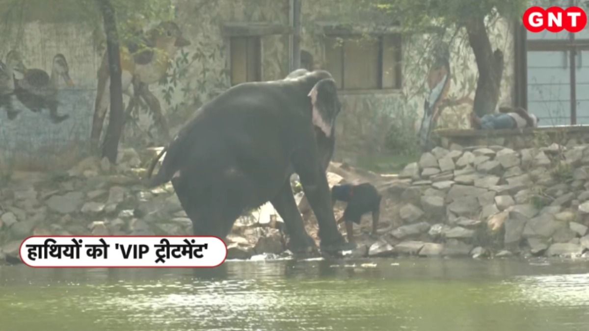 Elephant Village
