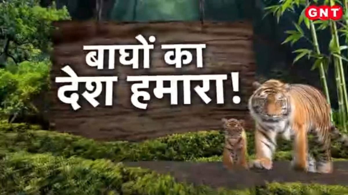 International Tigers Day