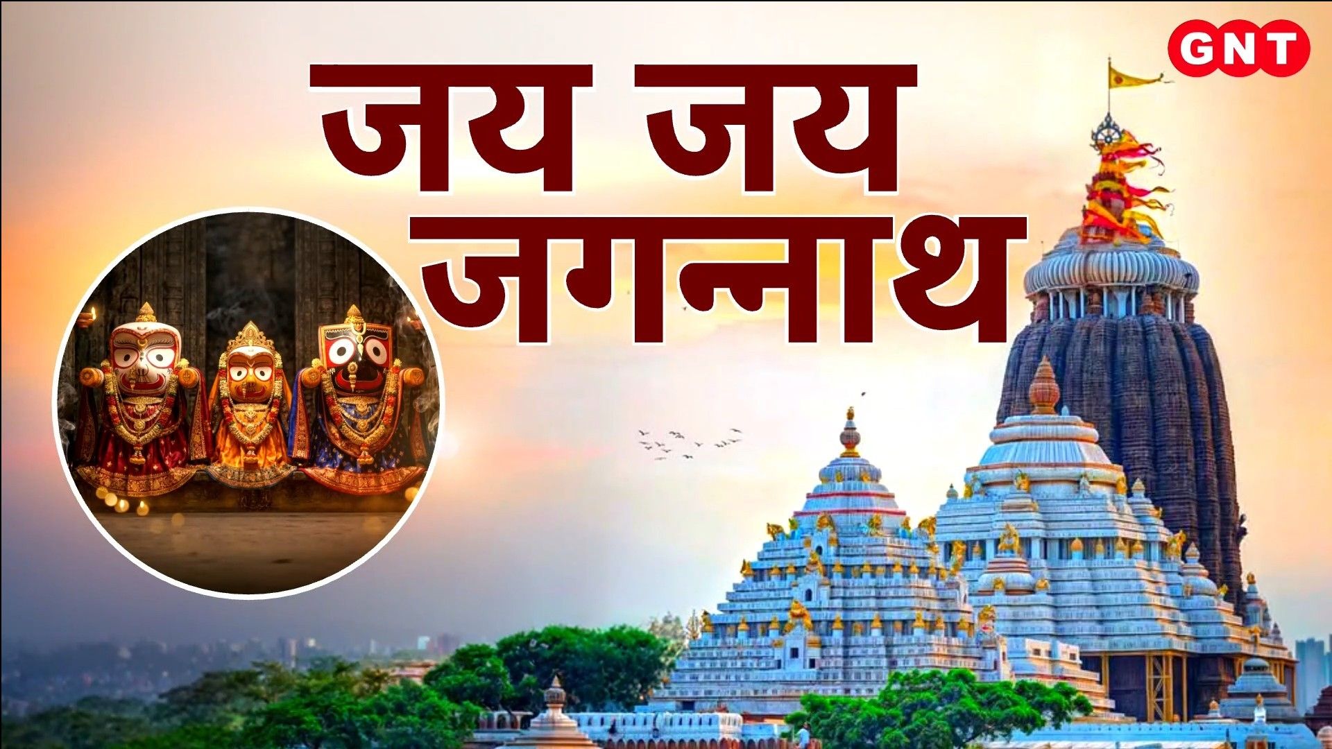 Jagannath Rath Yatra 2026: Preparations in Puri, Ahmedabad & Ranchi Good News Today frvd