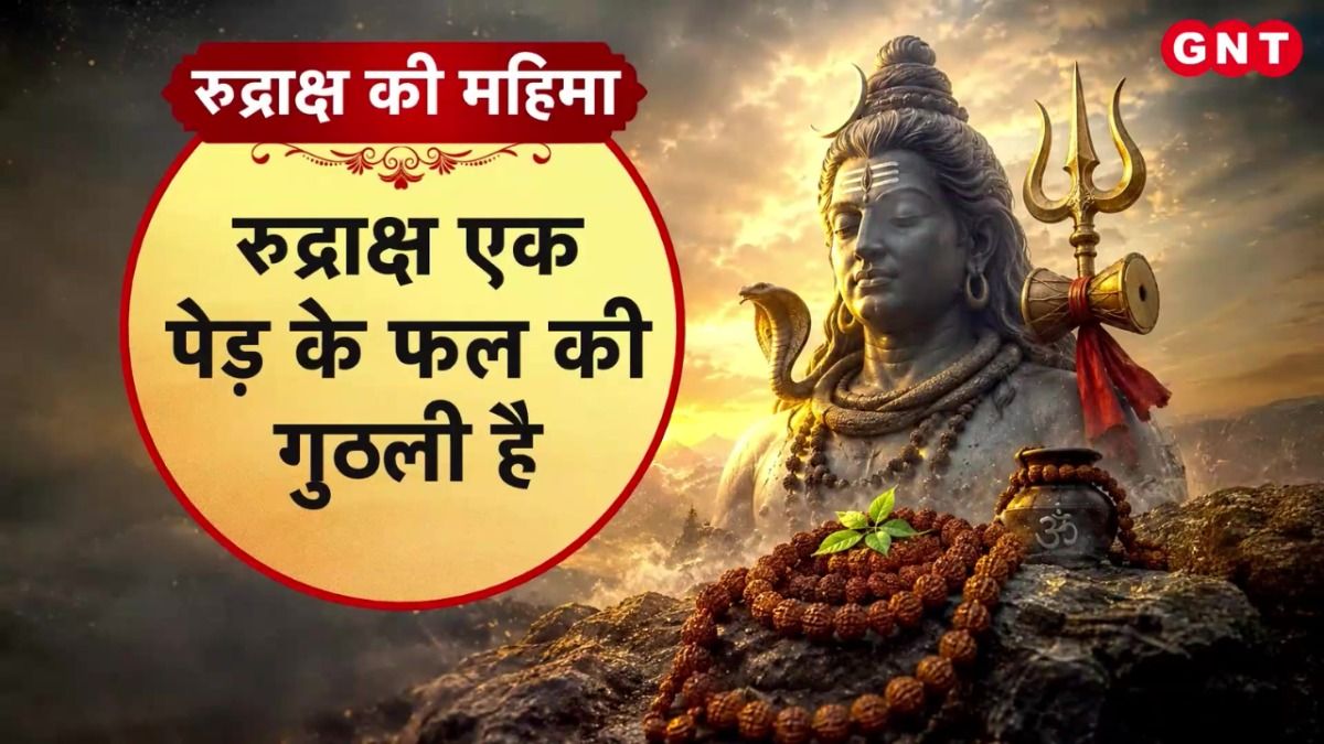 Rudraksha Rules