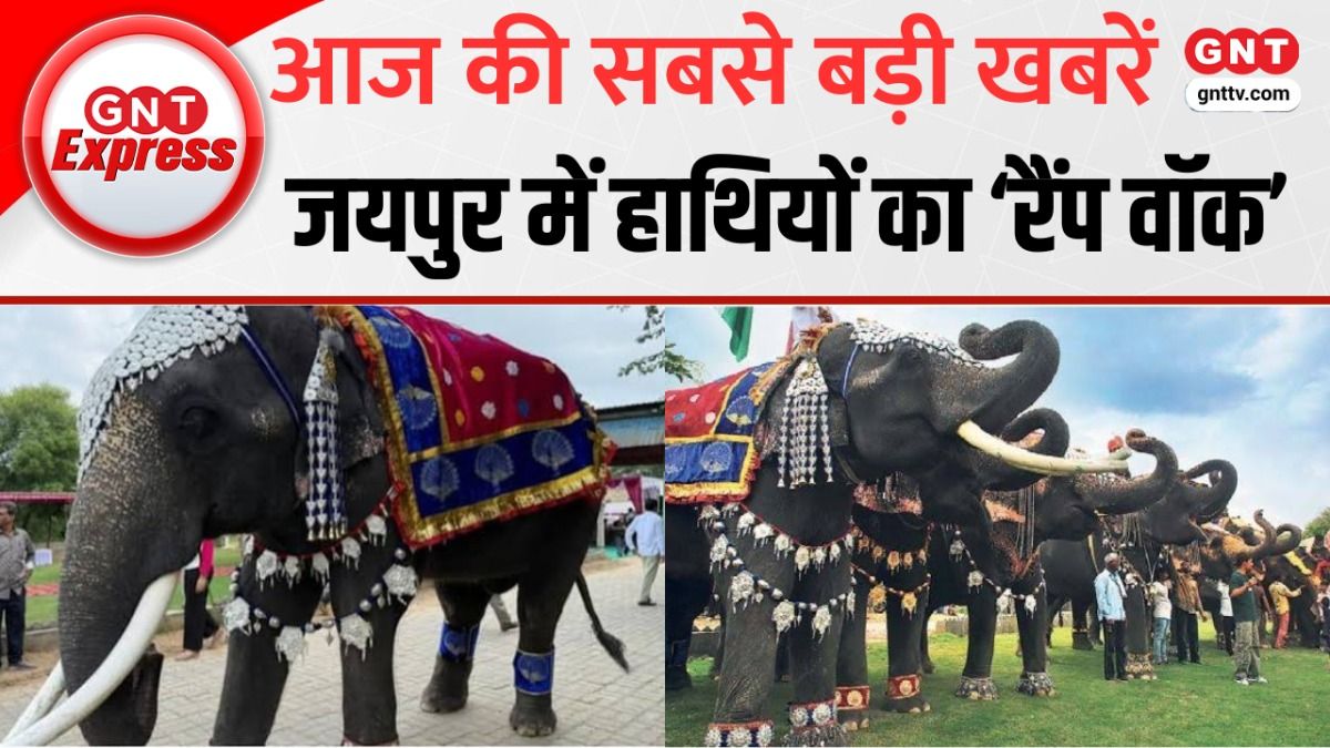 World Elephant Day 2026