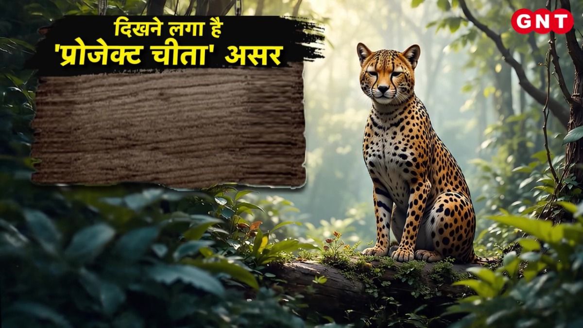 Project Cheetah
