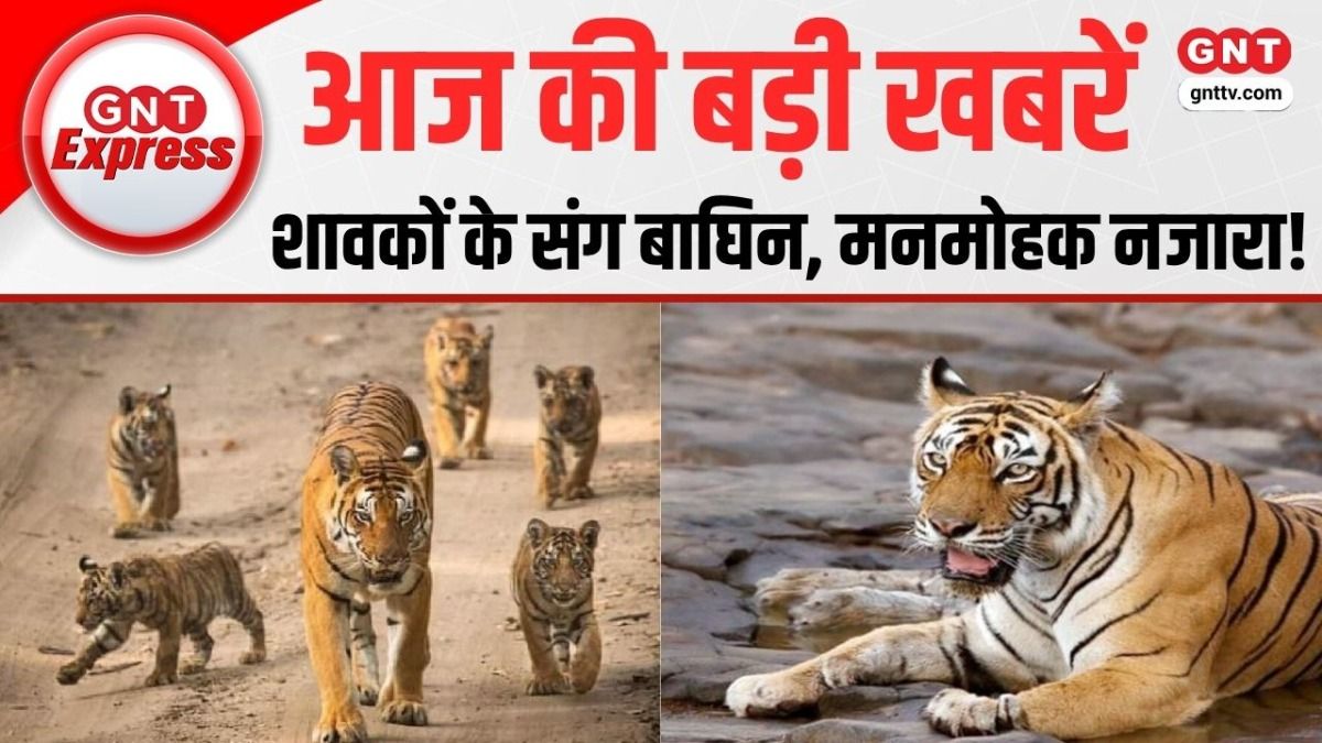 Top News in Hindi