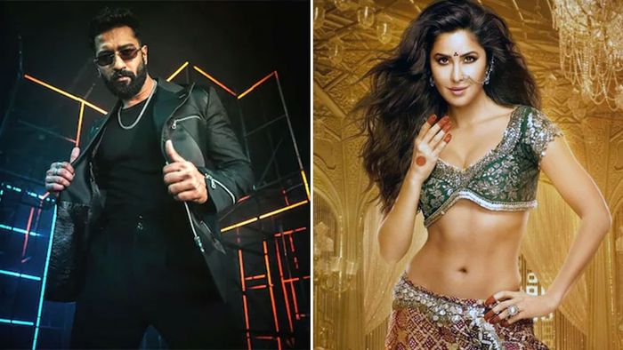 વિકી કૌશલના તૌબા તૌબા ગીત પર કેટરિના કૈફની પ્રતિક્રિયા