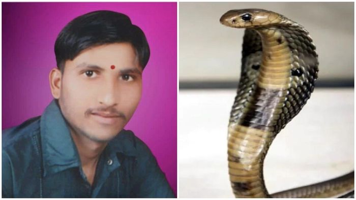वाढदिवस उत्साहात करण्यासाठी हातात धरला साप, मित्राचा मृत्यू
