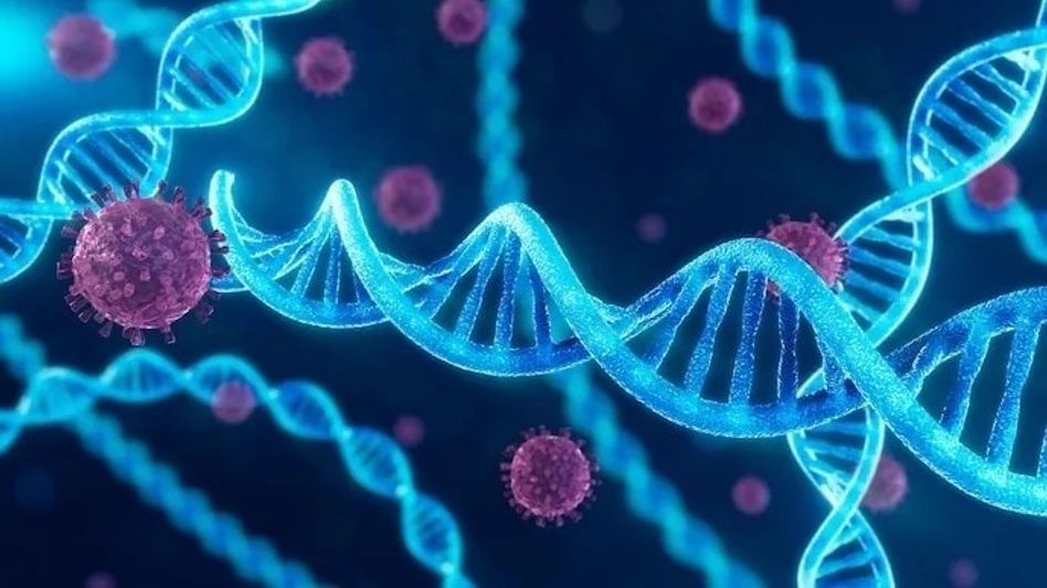 गुजरातमधील राजकोटमधील काही भाग कॉलराग्रस्त घोषित, दोन प्रकरणे आढळल्यानंतर कारवाई करण्यात आली गुजरातमधील राजकोटमधील काही भाग कॉलराग्रस्त घोषित, दोन प्रकरणे आढळल्यानंतर कारवाई करण्यात आली