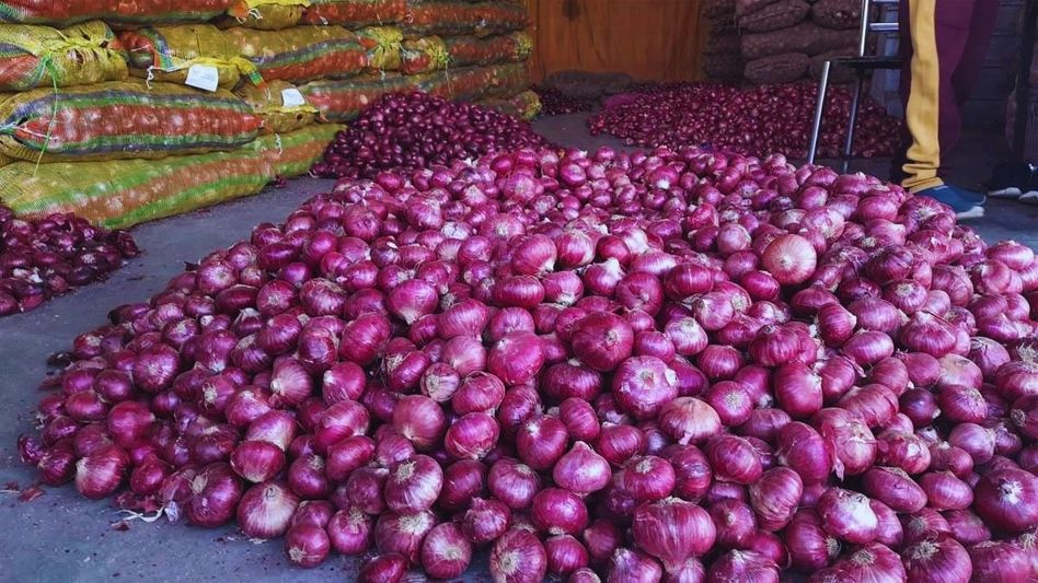 ડુંગળીના ભાવ ફરી વધવા લાગ્યા, શું સરકારની આ ફોર્મ્યુલા ઘટશે ભાવ? ડુંગળીના ભાવ ફરી વધવા લાગ્યા, શું સરકારની આ ફોર્મ્યુલા ઘટશે ભાવ?