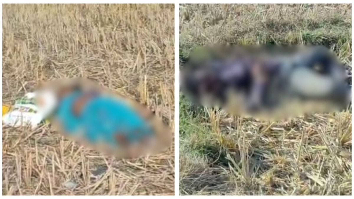 आजतक पत्रकाराची छत्तीसगडमध्ये हत्या, आई-वडील आणि भावाची कुऱ्हाडीने वार