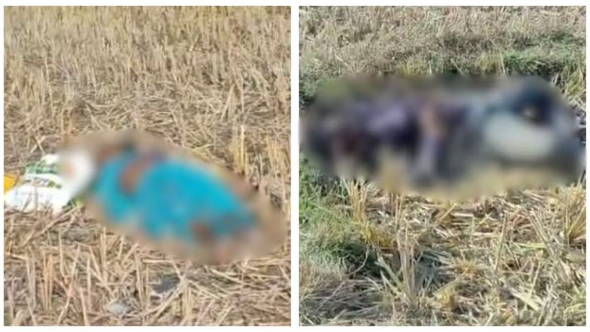 छत्तीसगड तिहेरी हत्या