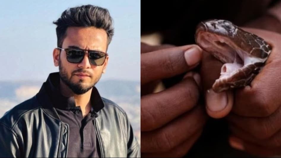 সাপের বিষ কীভাবে নেশা হয়