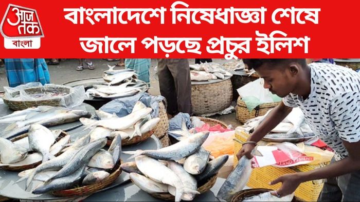 Bangladesh Hilsa