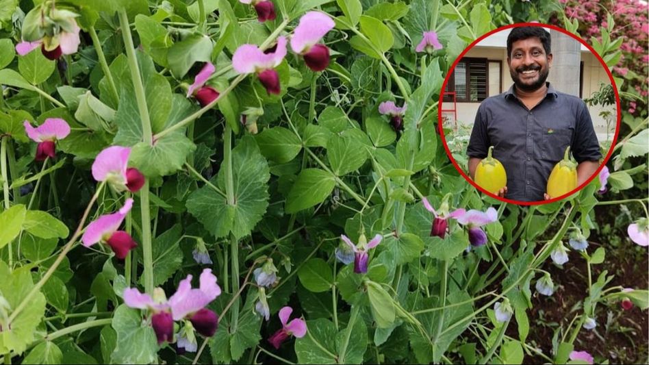 अरविंथन अरवी जर्मनी में जॉब छोड़कर कोयंबटूर में बच्चों को जैविक खेती सीखा रहे हैं अरविंथन अरवी जर्मनी में जॉब छोड़कर कोयंबटूर में बच्चों को जैविक खेती सीखा रहे हैं