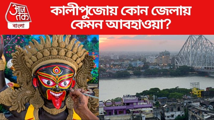 Bengal Winter Update