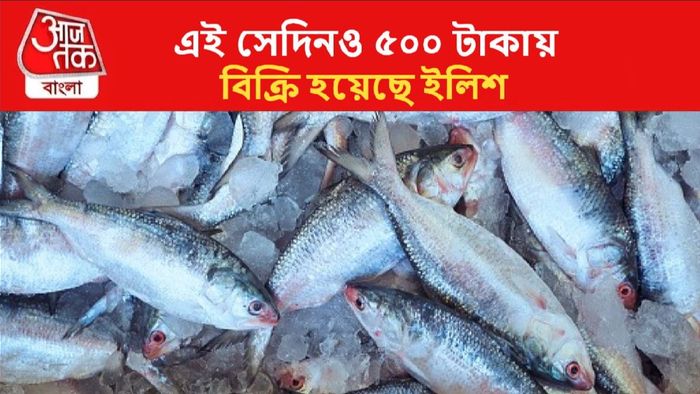 Hilsa Price