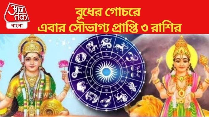 Lucky Zodiac from November Last Week