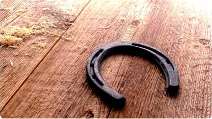 পেশাগত সমস্যা কাটায়, সঞ্চয়-সম্পদ বাড়ায় ঘোড়ার নাল!