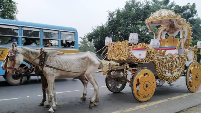 সংগৃহীত ছবি।