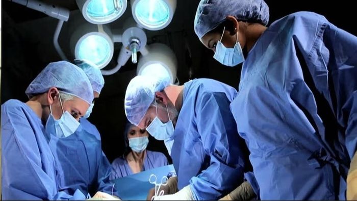 যুবকের পেটের ভিতরে বসে রয়েছে জ্যান্ত মাছি, দেখতে পেয়ে চিকিৎসকরা যা করলেন....