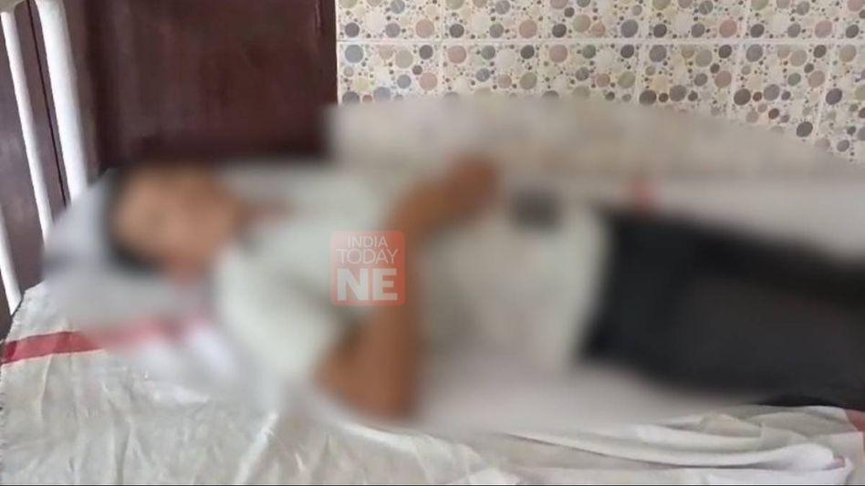 Tripura: Bee attack leaves eight injured including four school students in Sepahijala district Tripura: Bee attack leaves eight injured including four school students in Sepahijala district