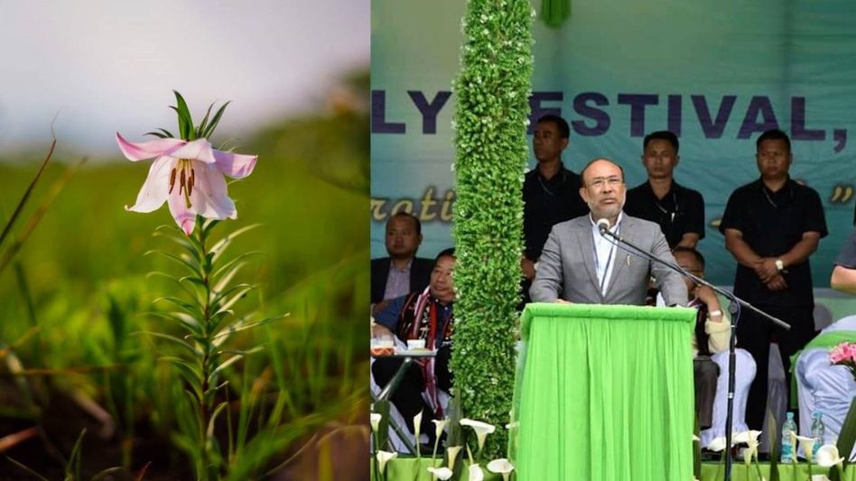 Manipur: Shirui Lily Festival brings forth awareness to save the famed Shirui Lily flower from extinction Manipur: Shirui Lily Festival brings forth awareness to save the famed Shirui Lily flower from extinction