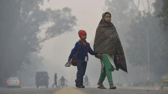 ফাইল ছবি।