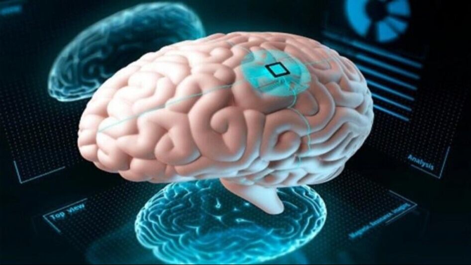 মস্তিষ্ক হবে কম্পিউটারের মতো দ্রুত, ডায়েটে রাখুন এই ৪ খাবার