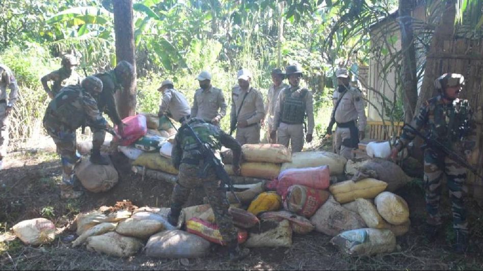 Manipur police destroy massive cache of narcotics in Imphal West Manipur police destroy massive cache of narcotics in Imphal West