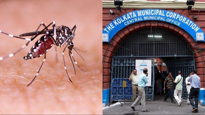 ফাইল ছবি।