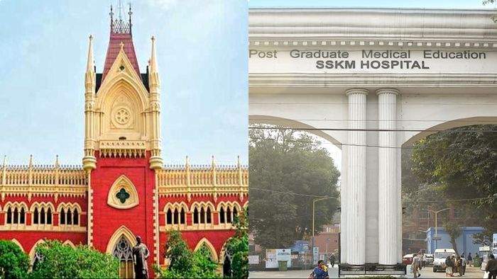 ফাইল ছবি।