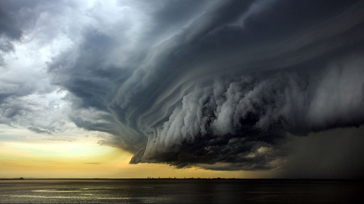 ফাইল ছবি।