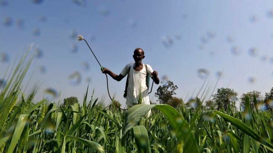 Farmer using fertiliser on crops Farmer using fertiliser on crops