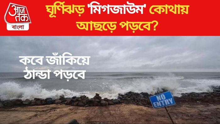 ঘূর্ণিঝড় 'মিগজাউম'