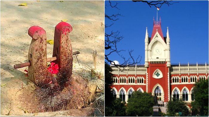 ফাইল ছবি।