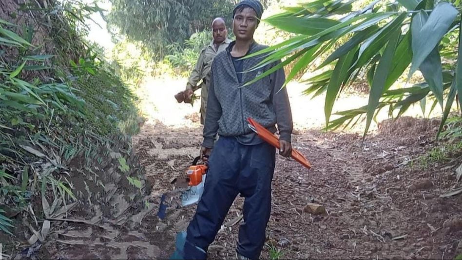 Assam: Man from Arunachal arrested for illegal logging in Lekhapani Reserve forest Assam: Man from Arunachal arrested for illegal logging in Lekhapani Reserve forest