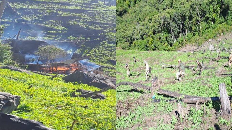 Manipur police destroy massive cache of narcotics in Imphal West Manipur police destroy massive cache of narcotics in Imphal West