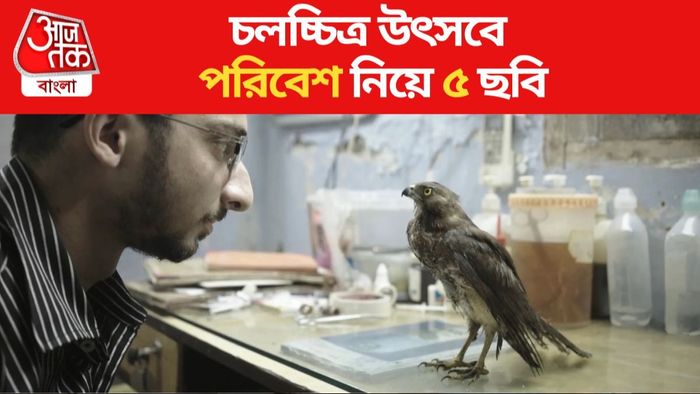 ফাইল ছবি।