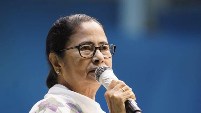 ফাইল ছবি।