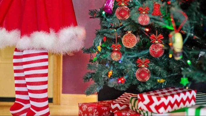 ক্রিসমাসের চেকলিস্ট