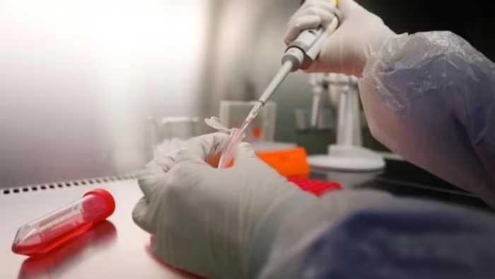 চিনের 'রহস্যময়' রোগ ঢুকে পড়ল ভারতেও? দিল্লিতে ৭ জন আক্রান্তের হদিশ