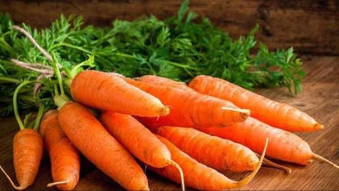 সুস্থভাবে বাঁচতে চাইলে রোজ পাতে রাখতে হবে অন্তত একটা গাজর