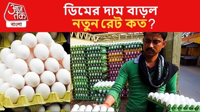 বাড়ল ডিমের দাম