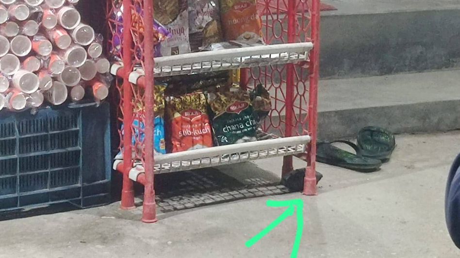 Assam: Live grenade found near shop in Kokrajhar district Assam: Live grenade found near shop in Kokrajhar district