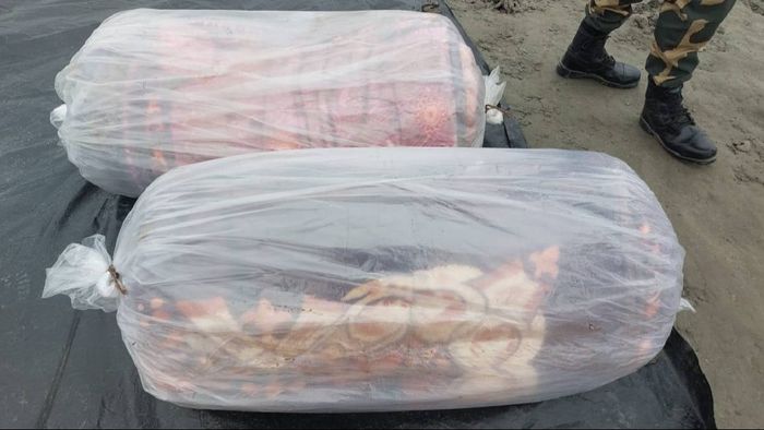 Assam: BSF seizes smuggled goods worth Rs 8.76 lac in successful operations