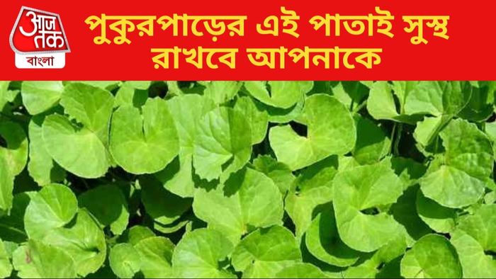 থানকুনি পাতা