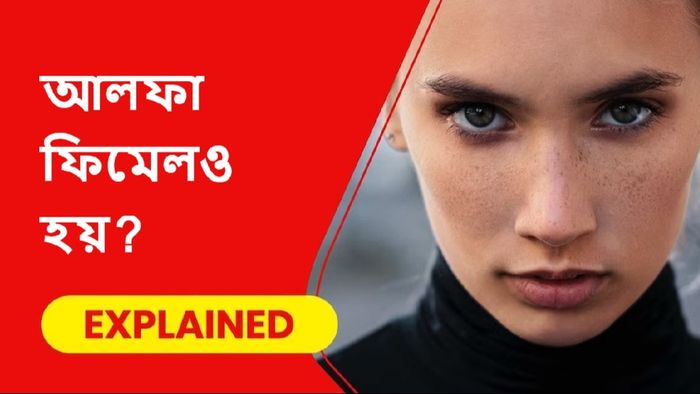 আলফা ফিমেল