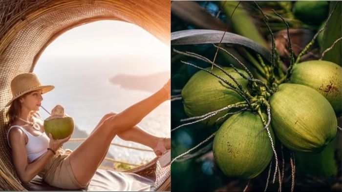 প্রতীকী চিত্র।