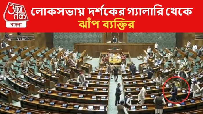 Parliament Security Breach