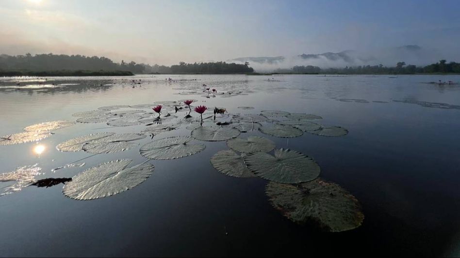 How Guwahati's Chandubi Lake is becoming a Tourism Gem in Assam How Guwahati's Chandubi Lake is becoming a Tourism Gem in Assam
